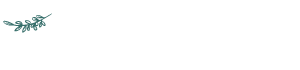 Holistic Health Collective Logo